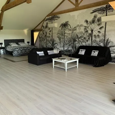 Le Loft Occitan Appartement Albefeuille-Lagarde