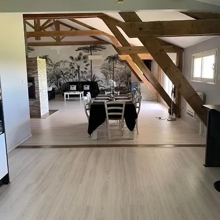 Le Loft Occitan Appartement *