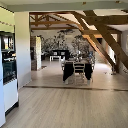 Le Loft Occitan Appartement *
