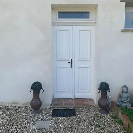 Le Loft Occitan Appartement Albefeuille-Lagarde